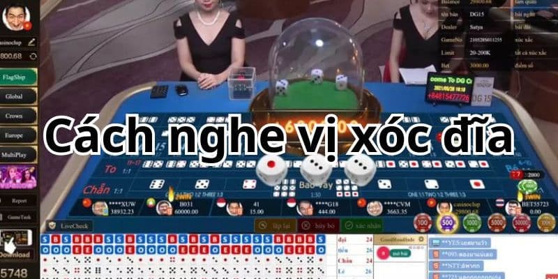 Cách nghe vị xóc đĩa chuyên nghiệp từ cao thủ.